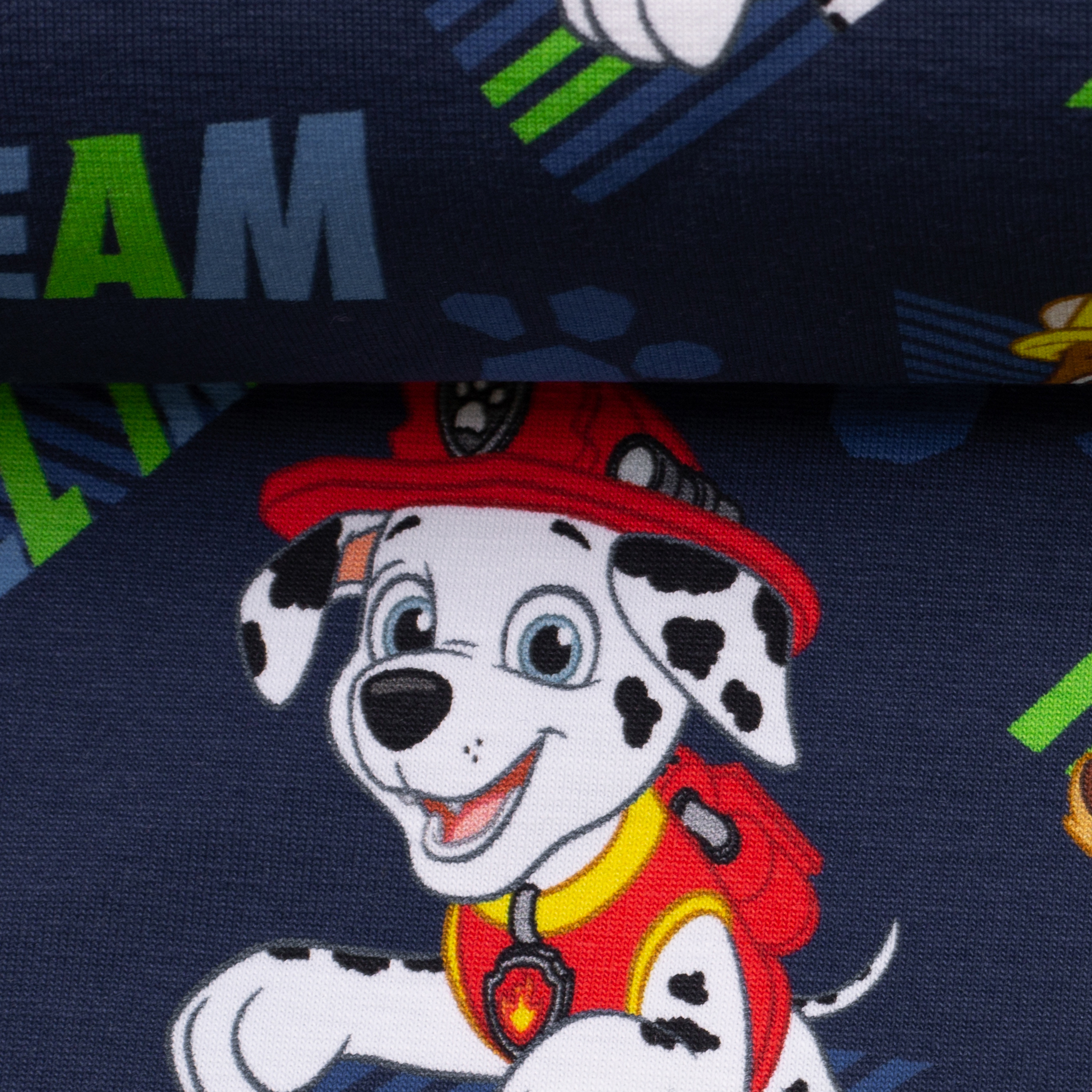 Jersey PawPatrol - Team All In