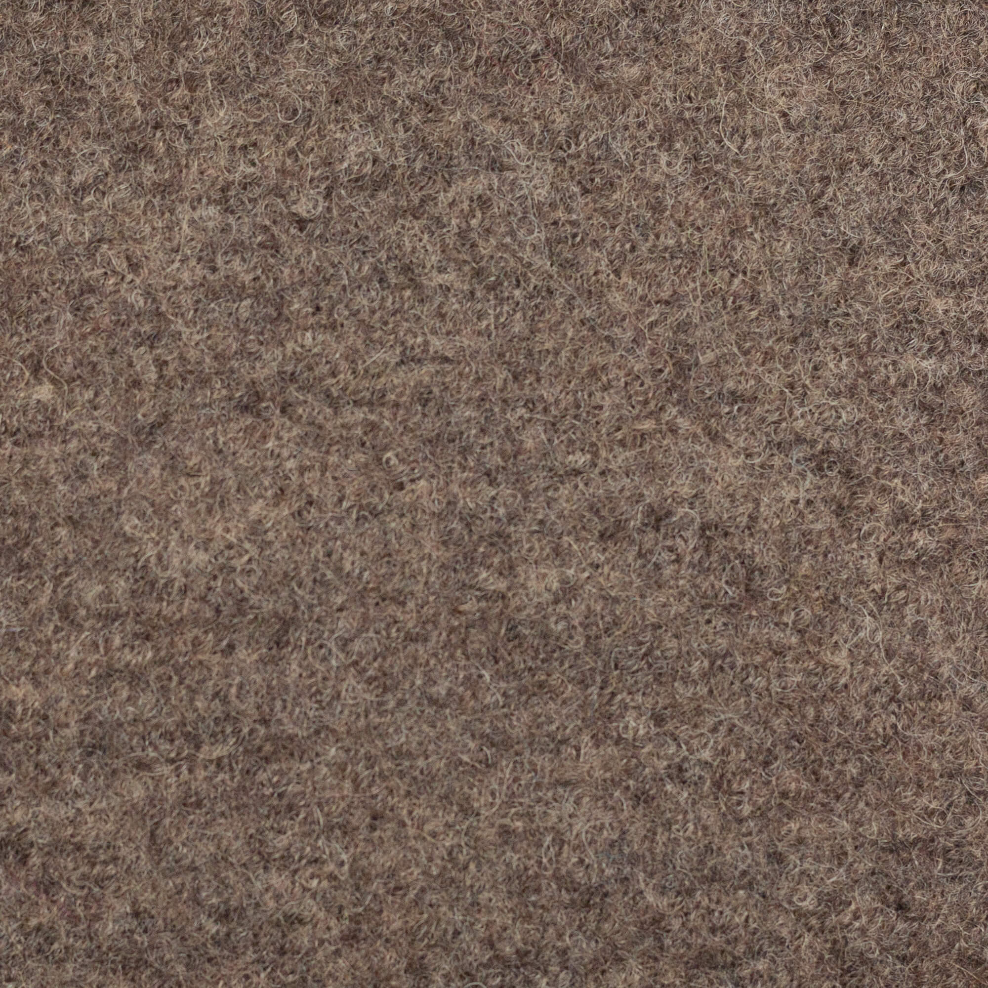 Wollwalk, Walkloden "Naomi" - Beige meliert 1173 Wollwalk, Walkloden "Naomi" - Beige meliert 1173