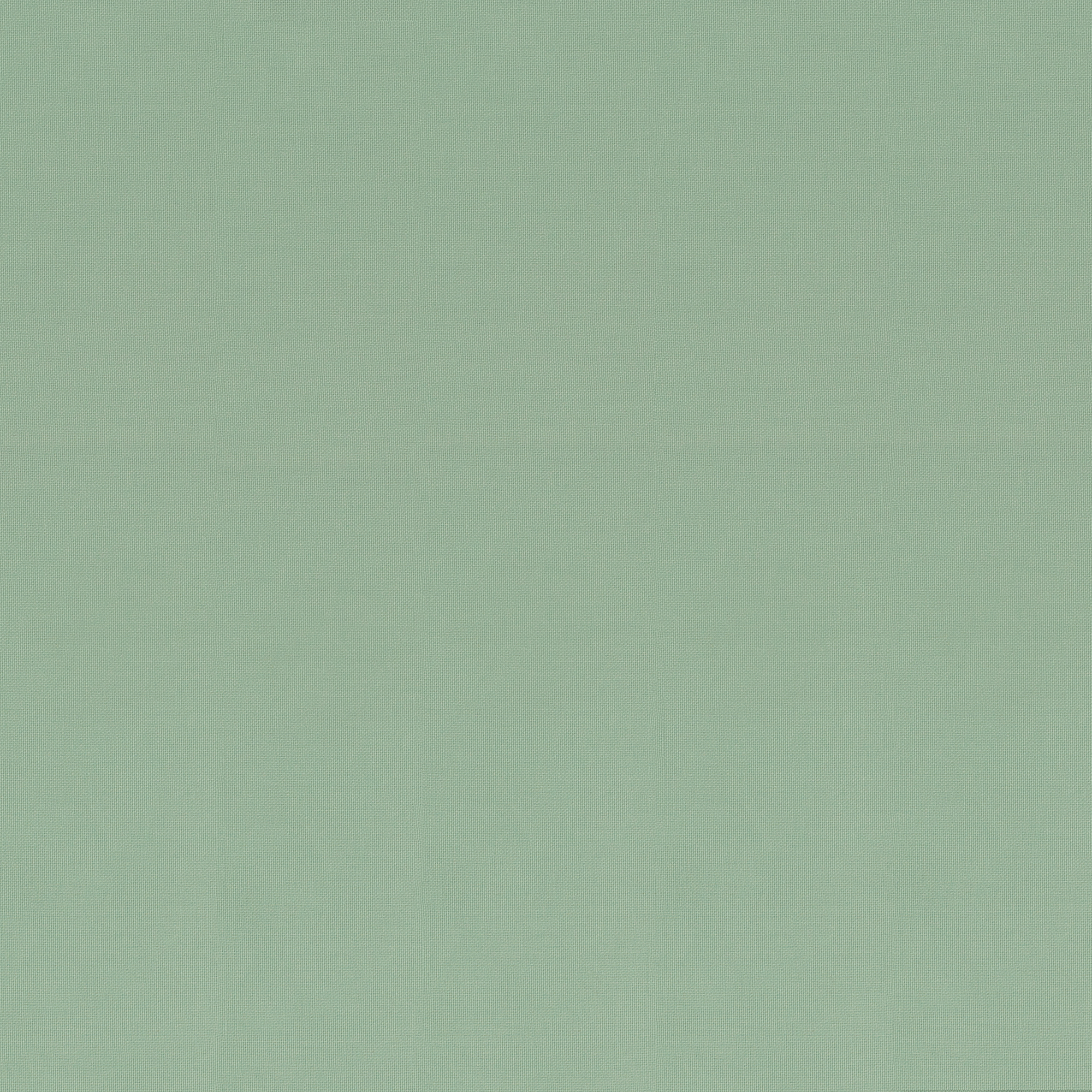 Baumwolle Canvas "Calvin" - Mint