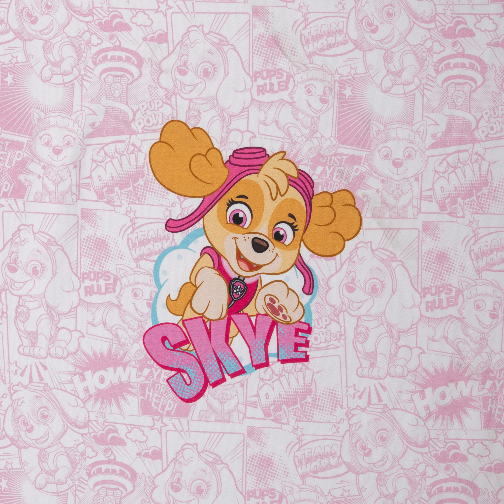 Sweat Panel PawPatrol - Skye Everest